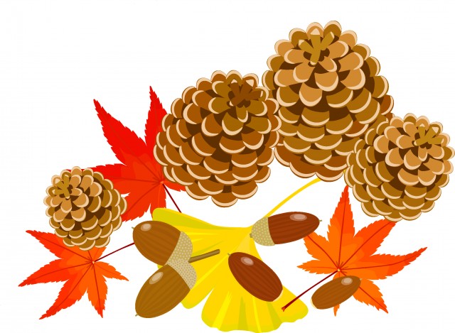 秋の木の実と落ち葉2 | 無料イラスト素材｜素材ラボ