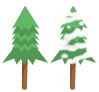2種類のもみの木