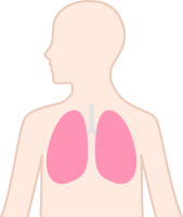 体と肺アイコン（…
