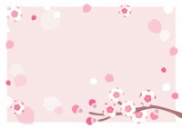 八重桜のフレーム