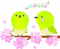 春の桜と歌う小鳥…