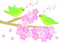 春の歌う小鳥達