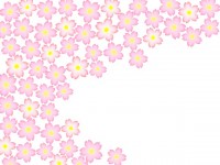 桜の花模様壁紙シ…