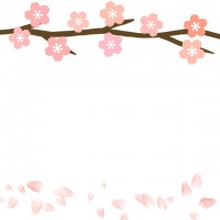 桜の木の枝フレー…
