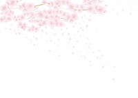 ソメイヨシノ 桜…