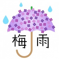 紫陽花の傘と雨の…