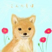 アネモネと柴犬