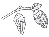 風に揺れるミノム…