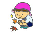 落ち葉を観察する…