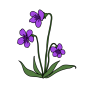 園だよりイラスト