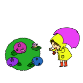 梅雨　雨傘とアジ…