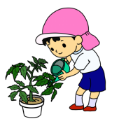 夏野菜栽培　食育…