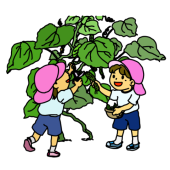 夏野菜栽培　園生…