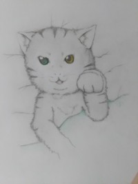 静岡県 静岡市のイラストレーター情報一覧 素材ラボ