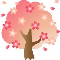 桜の木と花びら0…