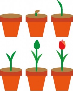 植物の成長デザイン11作品のまとめ イラスト系まとめ 無料イラスト 素材ラボ 素材ラボ