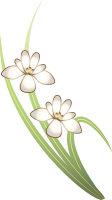 水仙の花アイコン…