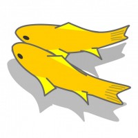 金魚・錦鯉（黄金…