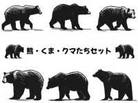 クマのシンプルな…