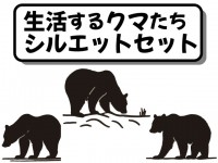 生活するクマたち…