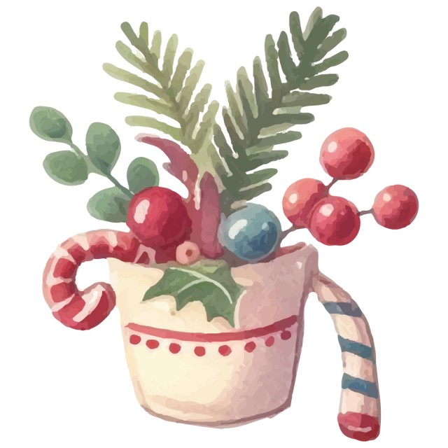 クリスマスの植物インテリア