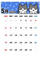 2024年5月、…