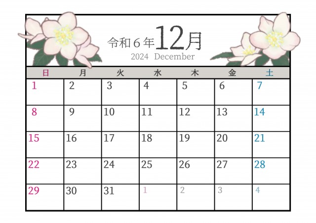 季節の植物カレンダー　2024年12月