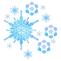 雪のワンポイント…