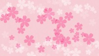 ピンクの桜の花が…