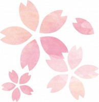手描き水彩風桜の…
