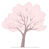 桜の木のイラスト