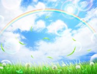 芝生と白爪草と虹…