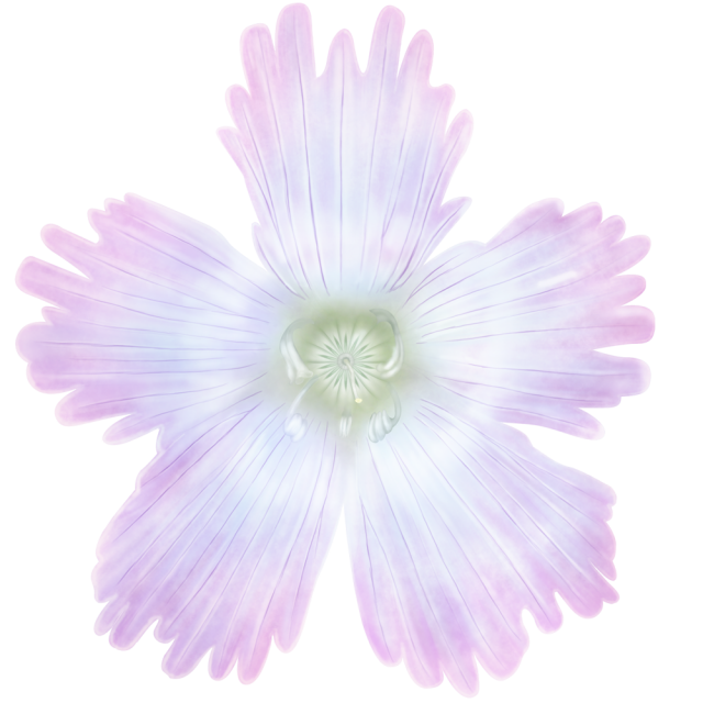 イワウチワの花アイコン Png 無料イラスト素材 素材ラボ