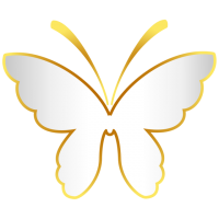 白い蝶のアイコン…