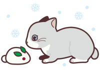 雪うさぎと猫