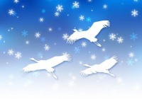 雪の夜空に舞う鶴