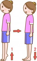 かかとの上げ下げ…