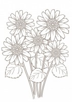 花のぬりえ