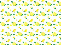 黄色い薔薇の花と…