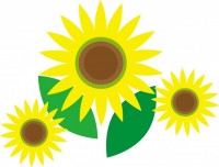 ひまわりの花