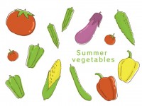 夏野菜のセット