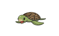 ウミガメ