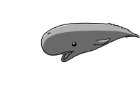 マッコウクジラ