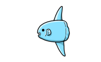 海水魚　マンボウ