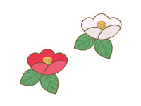 赤と白の椿の花イ…