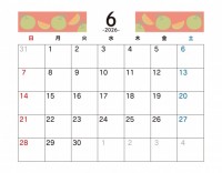 フルーツ柄　20…