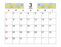 フルーツ柄　20…