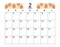 フルーツ柄　20…