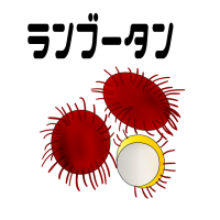 食べ物イラスト　…