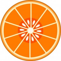 オレンジ断面2 …